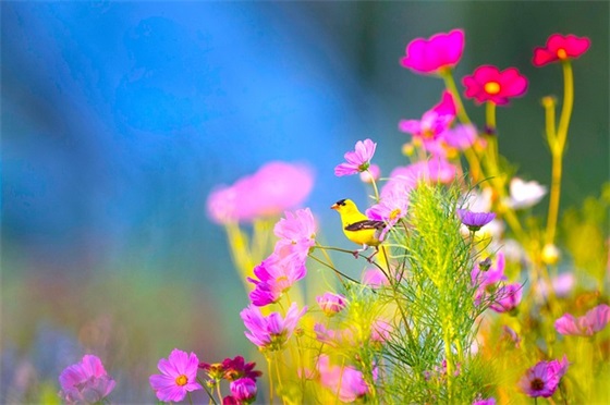 冬季阳光体育口号80句