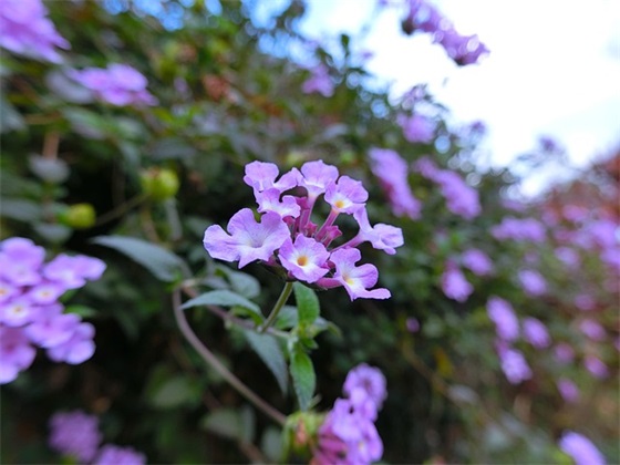 二年级体育节口号82句