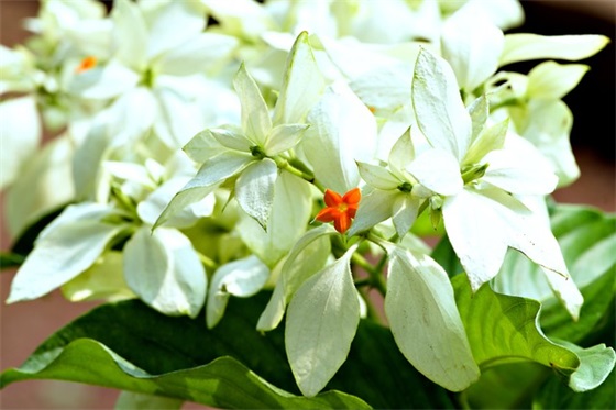 霸气简短的加油口号83句