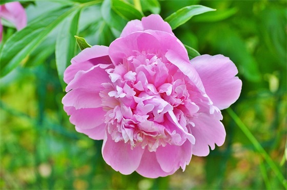 家具企业口号84句