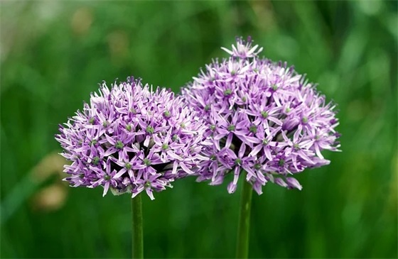 建筑设计企业口号84句