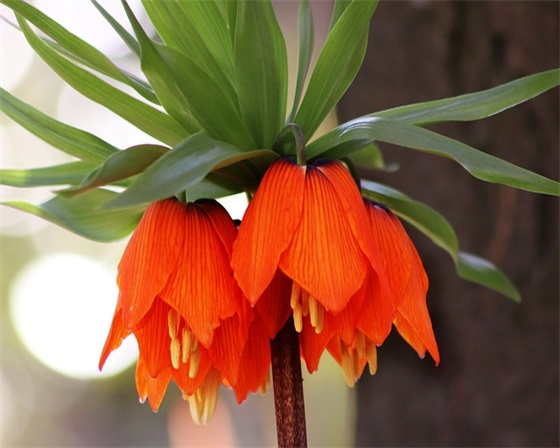 保护绿化宣传标语 绿化造林宣传标语