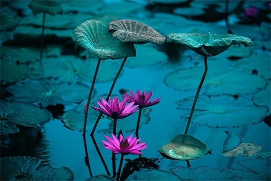 二手车口号83句