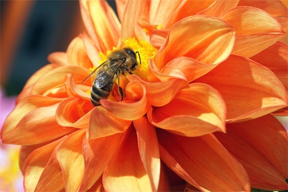 老年人体育节口号82句