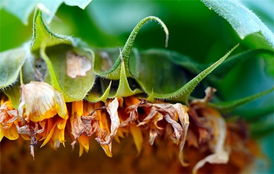 扶贫日宣传口号标语