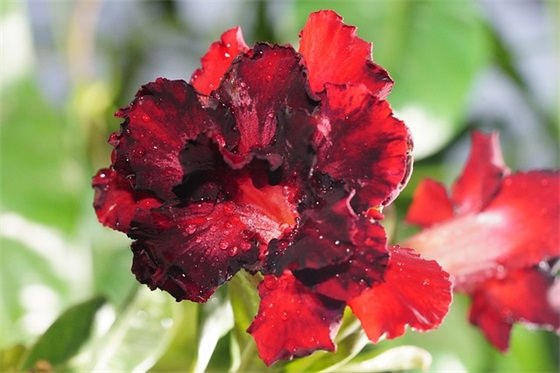 体育比赛标语口号82句