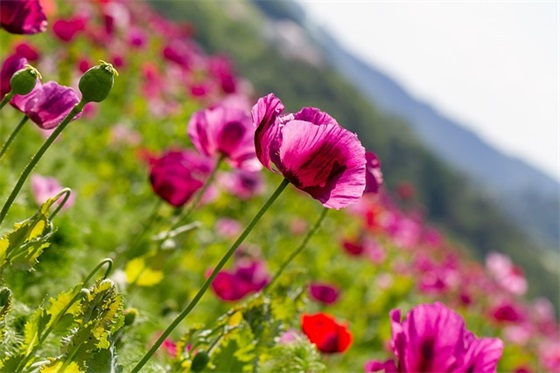 关于体育班的班级口号 关于二班的班级口号