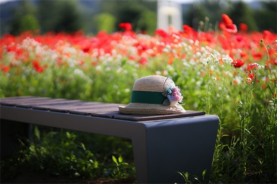 2026幼儿园学校植树节活动横幅口号大全