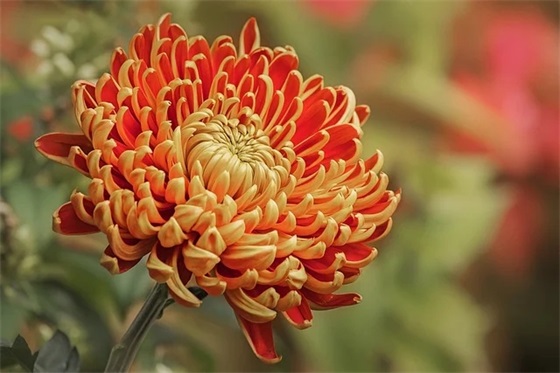 茶楼品牌口号宣传86句