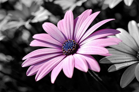 学校洗衣店标语92句