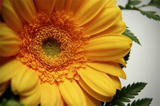 学校的标语 学校常用标语