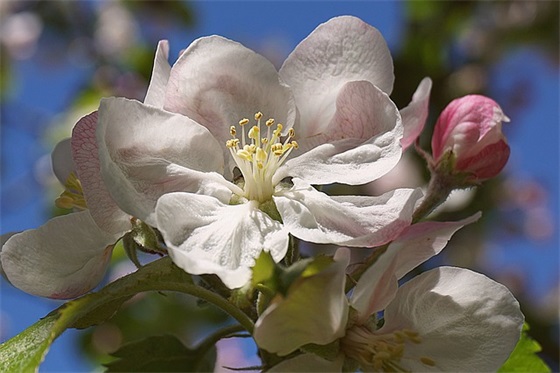 电器销售口号83句