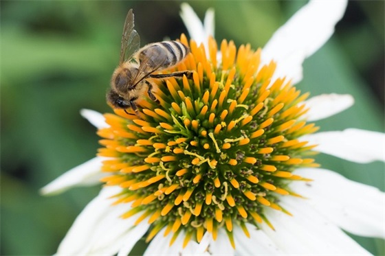酒店服务口号霸气押韵81句