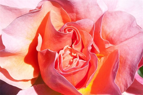 小学生祝福语大全39句