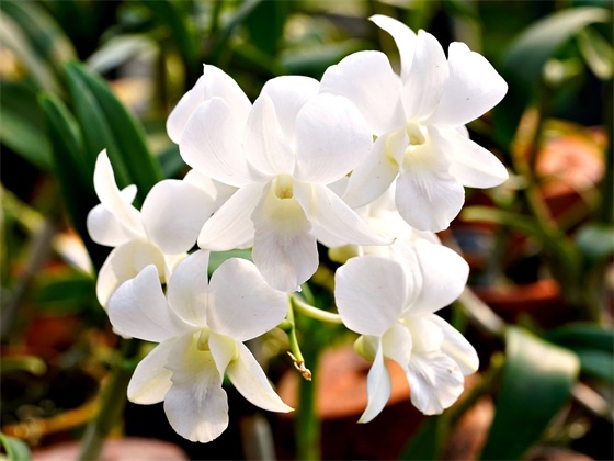 对福利院孩子祝福语43句 对福利院孩子祝福语43句