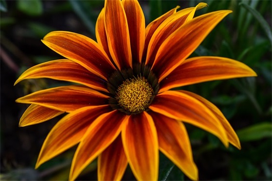 2026年英文祝福语 2026年英文祝福语