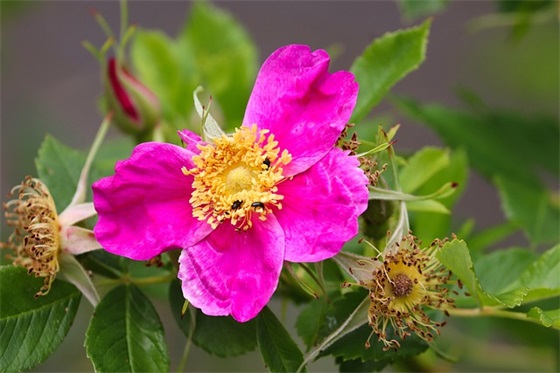 11月11日光棍节祝福语 11月11日光棍节祝福语