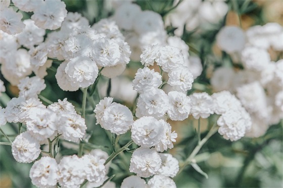新婚祝福短消息 生日祝福短消息