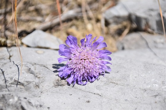 正能量的团队口号大全85句