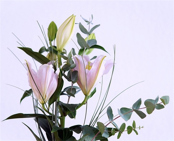 感恩的标语88句