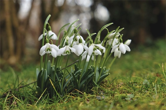 抗击新冠肺炎疫情正能量口号