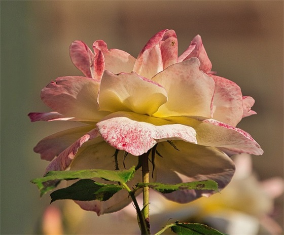 创新理念口号标语大全83句