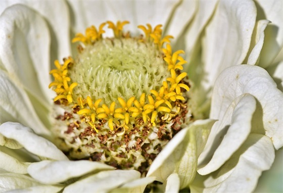 美术生励志口号92句 美术生励志口号92句