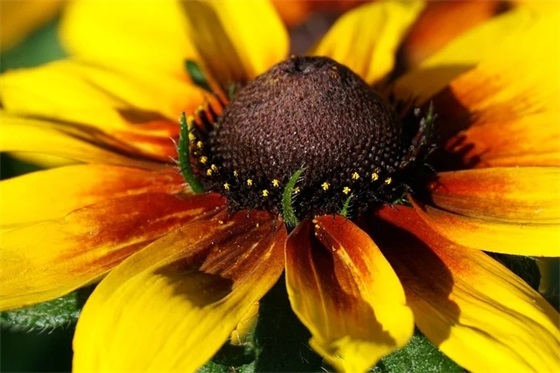 团队口号激励 药店团队激励口号精选 团队口号激励 药店团队激励口号精选