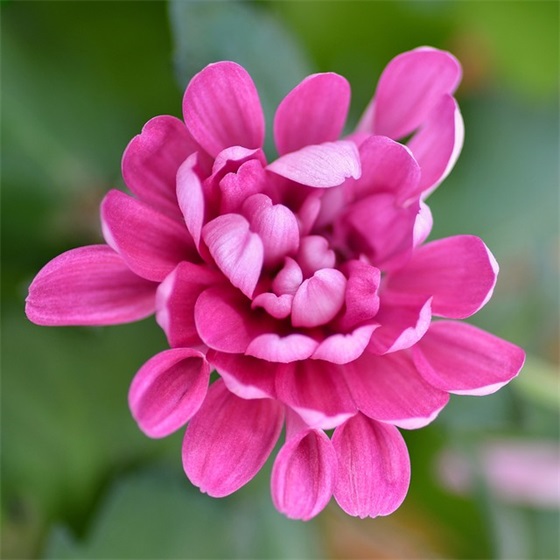 最新运动会口号霸气押韵 运动会口号霸气押韵 最新运动会口号霸气押韵 运动会口号霸气押韵