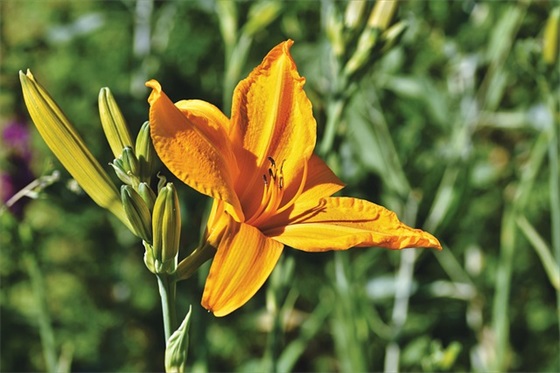 电的标语88句 电的标语88句