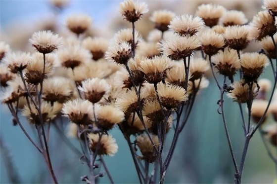 精锐的口号84句 精锐的口号84句