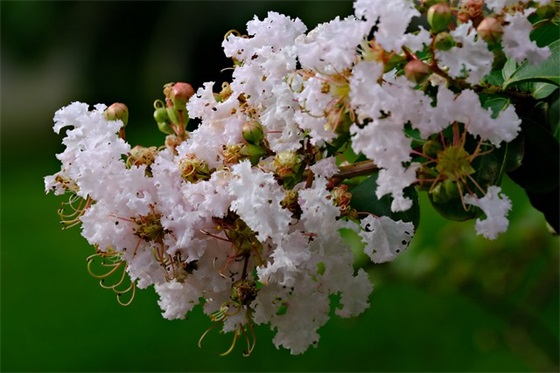 公司经典口号大全84句