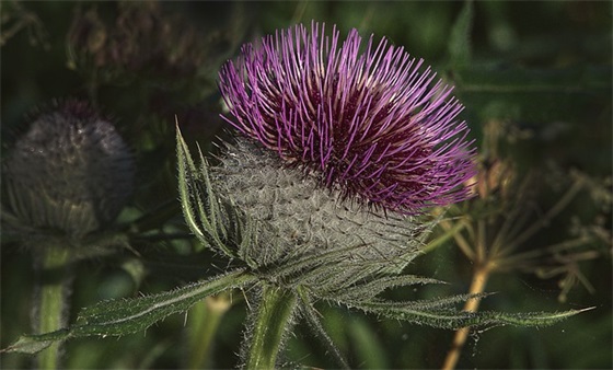 技工学校标语82句