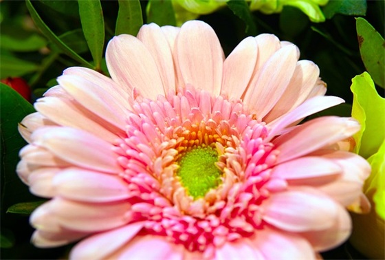 安全消防防火安全标语大全 防火安全标语大全 安全消防防火安全标语大全 防火安全标语大全