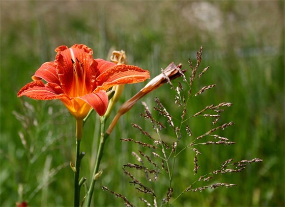 奥迪广告标语22句 奥迪广告标语22句