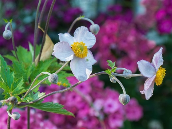 创新口号大全83句 创新口号大全83句