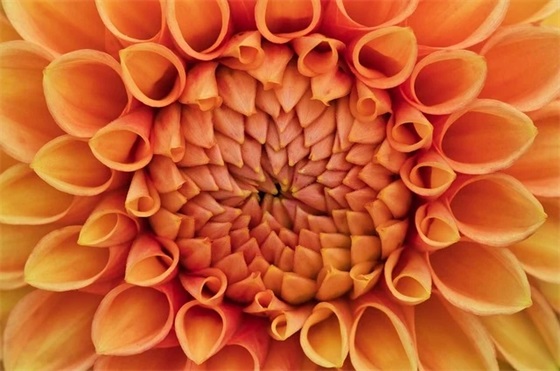 初三跑操口号励志霸气 跑操口号励志新颖