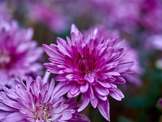 创业企业团队精神口号87句