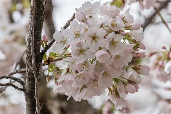 最火的2025高三高考口号 高三高考冲刺口号