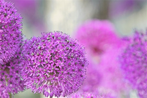 创意宣传口号85句