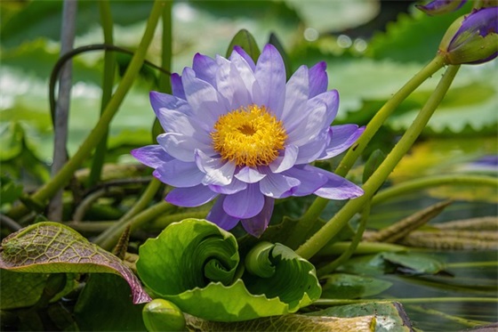 决战高考必胜霸气口号