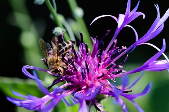 微信拍一拍的沙雕句子 微信拍一拍污后缀的句子