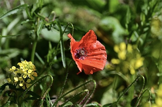 表达爱情错过的句子 错过感情的句子