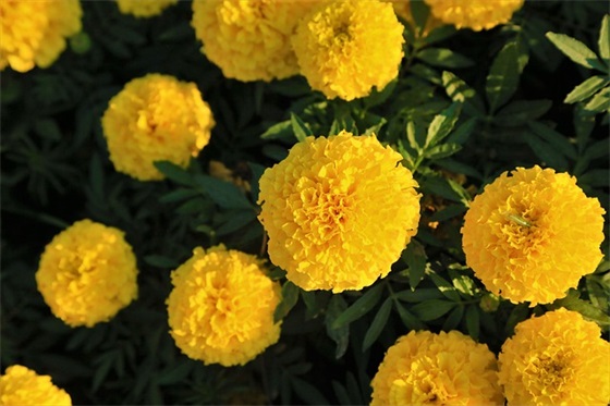 二年级积累的好句子