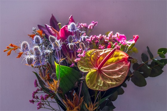 人要对得起自己的良心的句子(形容人做事对得起良心的句子)