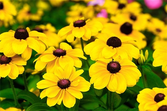 失眠的句子72句