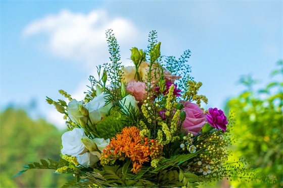 忽悠人的话 经常忽悠的人的句子