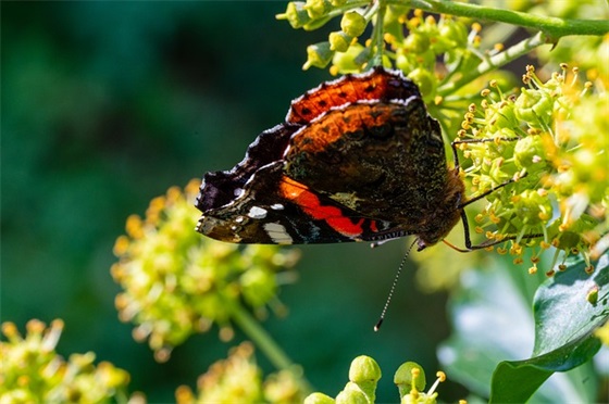 精选的生活中有激情的句子大全(生活中的发现500字精选)