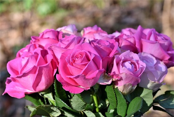 虎年同事儿子满月祝福语大全精选