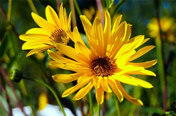 自己生日快乐祝福语 祝自己生日快乐最佳祝福